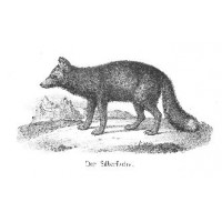 Picture 1