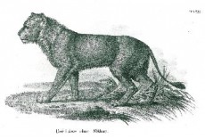 Picture 1