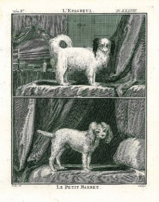 Picture 1