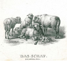 Picture 1