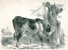 Picture 1
