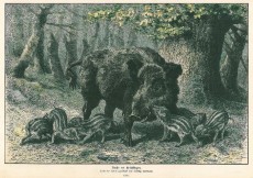 Picture 1