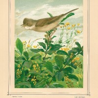Picture 1