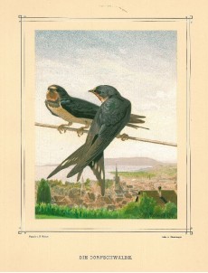 Picture 1