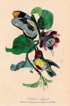 Picture 1
