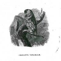 Picture 1