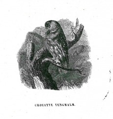 Picture 1