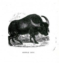 Picture 1