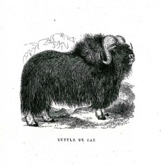 Picture 1