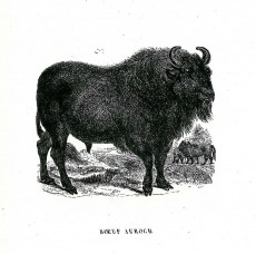 Picture 1
