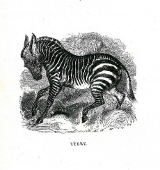 Picture 1