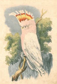 Picture 1