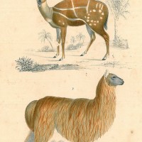 Picture 1