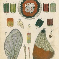 Picture 1