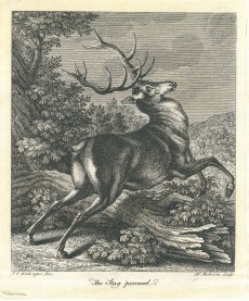 Picture 1