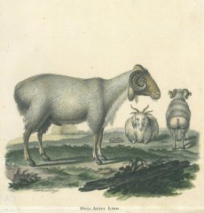 Picture 1