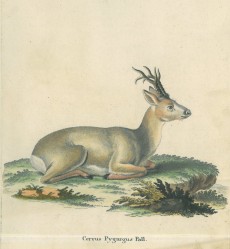 Picture 1