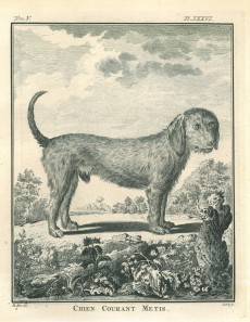 Picture 1