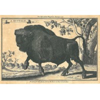 Picture 1