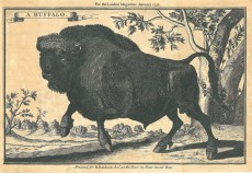 Picture 1