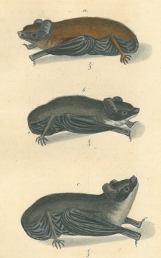 Picture 1
