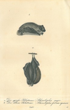 Picture 1