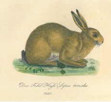 Picture 1