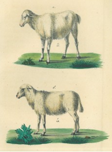 Picture 1
