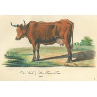 Picture 1