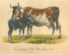 Picture 1