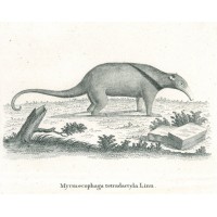 Picture 1