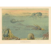Picture 1