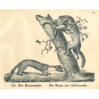 Picture 1