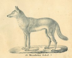 Picture 1