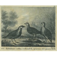 Picture 1