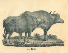 Picture 1