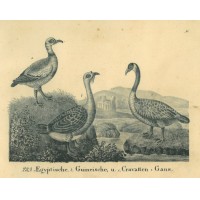 Picture 1