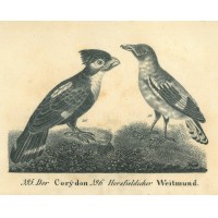 Picture 1