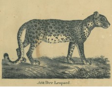 Picture 1