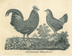 Picture 1