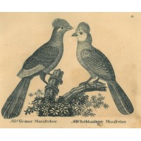 Picture 1