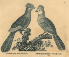 Picture 1
