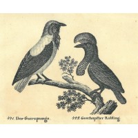 Picture 1