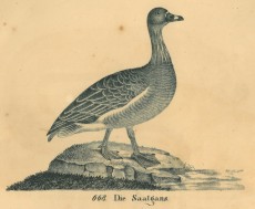 Picture 1
