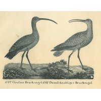 Picture 1