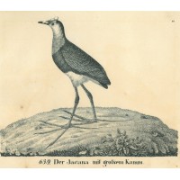 Picture 1