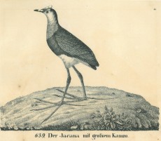 Picture 1