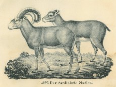 Picture 1