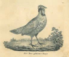 Picture 1