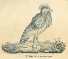 Picture 1
